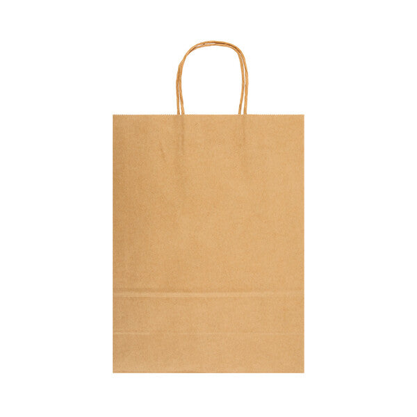 Express Paper Bag Large - LL549