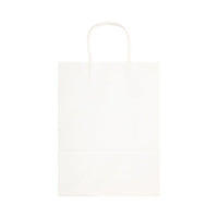 Express Paper Bag Large - LL549