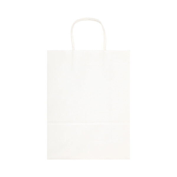 Express Paper Bag Large - LL549
