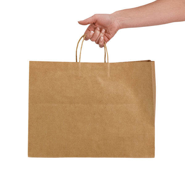 Express Paper Bag Extra LargeLL562