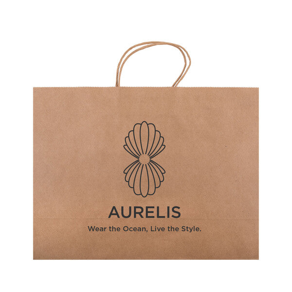 Express Paper Bag Extra LargeLL562