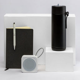 The Daily Setup - LL8323