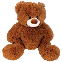 Coco Plush Teddy BearLL88120