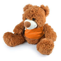 Coco Plush Teddy BearLL88120