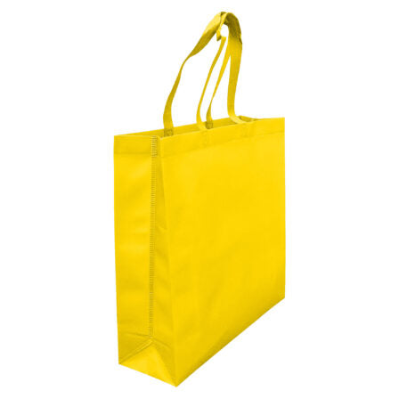 Laminated Non Woven Bag with Large Gusset - LNWB004