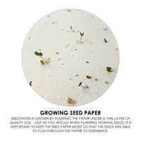 Corn Poppy Seed Sticky Note Pad  - MH015