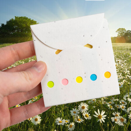 Daisy Seed Sticky Note Pad  - MH016