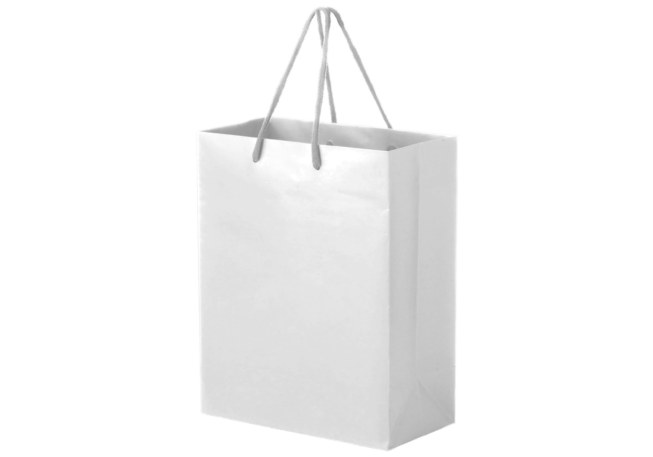 Large Full Coloured Laminated Bag