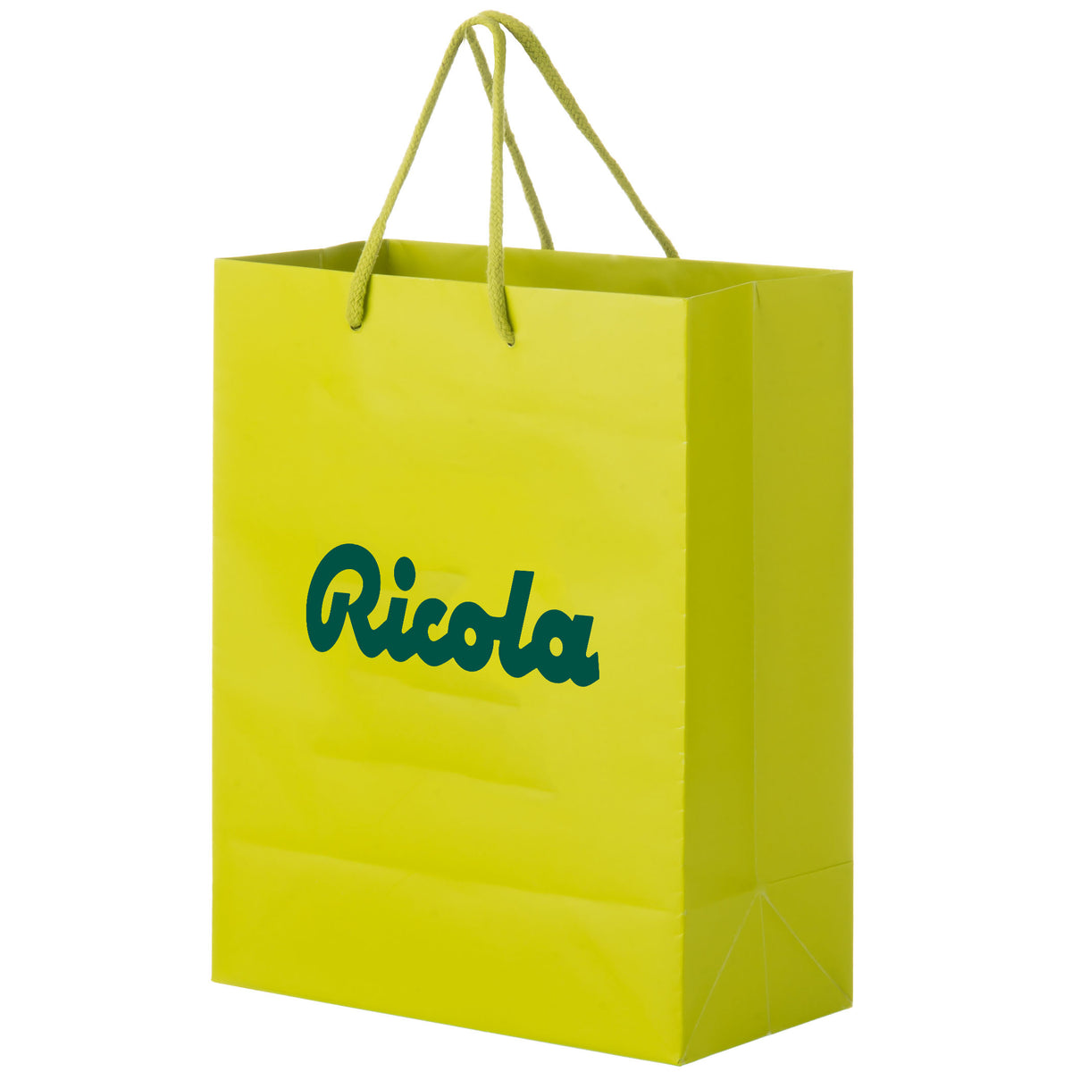 Extra Large Full Coloured Laminated Bag