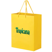 Extra Large Full Coloured Laminated Bag