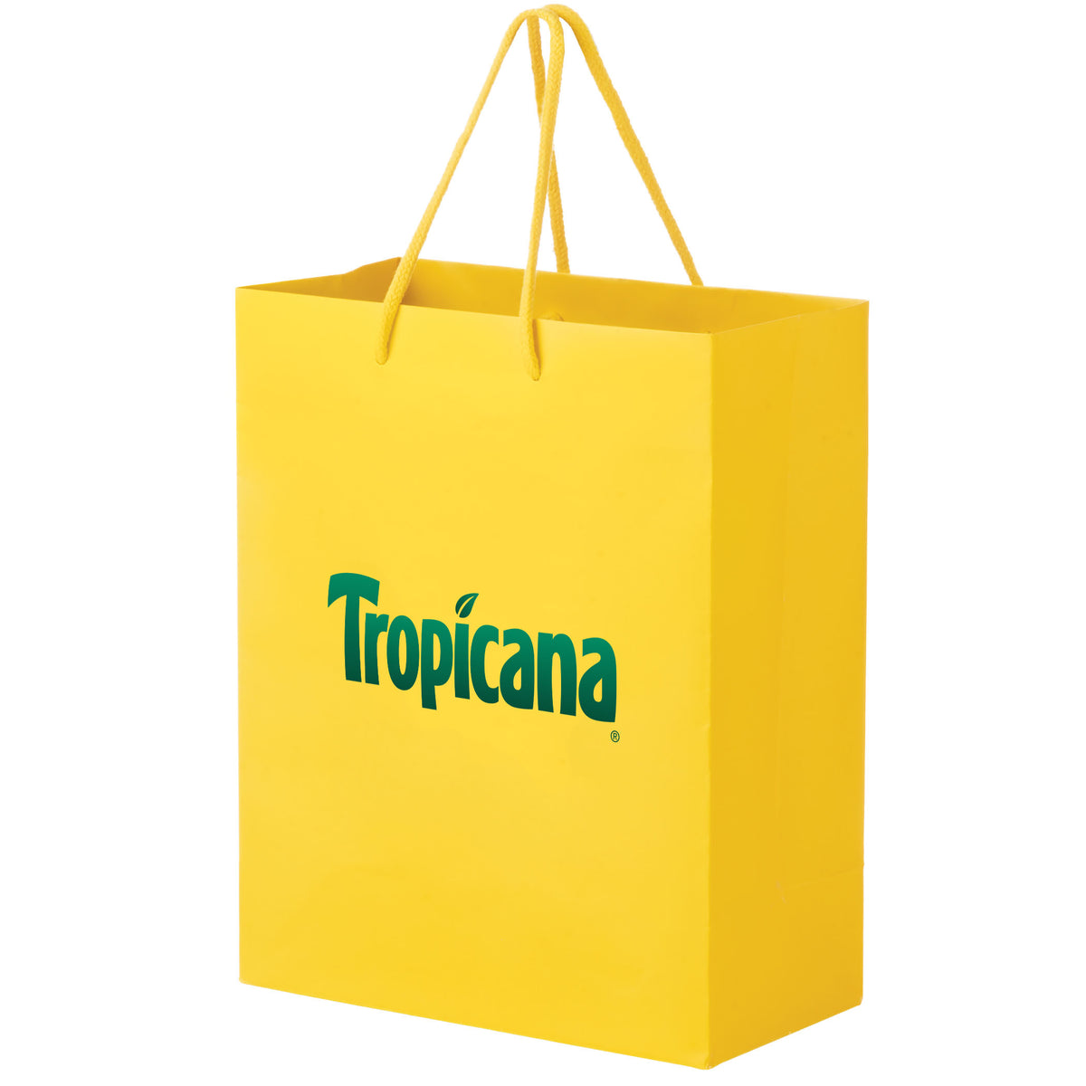 Extra Large Full Coloured Laminated Bag