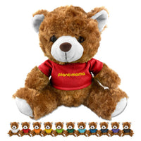 Teddy Bear Plush  - PL001