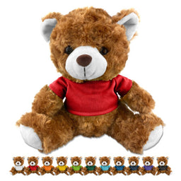 Teddy Bear Plush  - PL001
