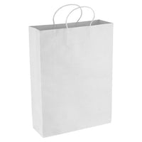 Paper Kraft Shopping Bag - PPB007
