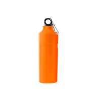 Sunshine Coast Water Bottle - 750Ml