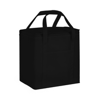 20 Litre Non Woven Cooler Bag