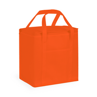 20 Litre Non Woven Cooler Bag