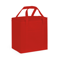 20 Litre Non Woven Cooler Bag