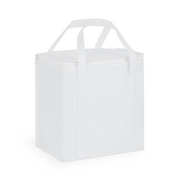 20 Litre Non Woven Cooler Bag