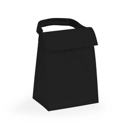 Budget Cooler Bag With Grip