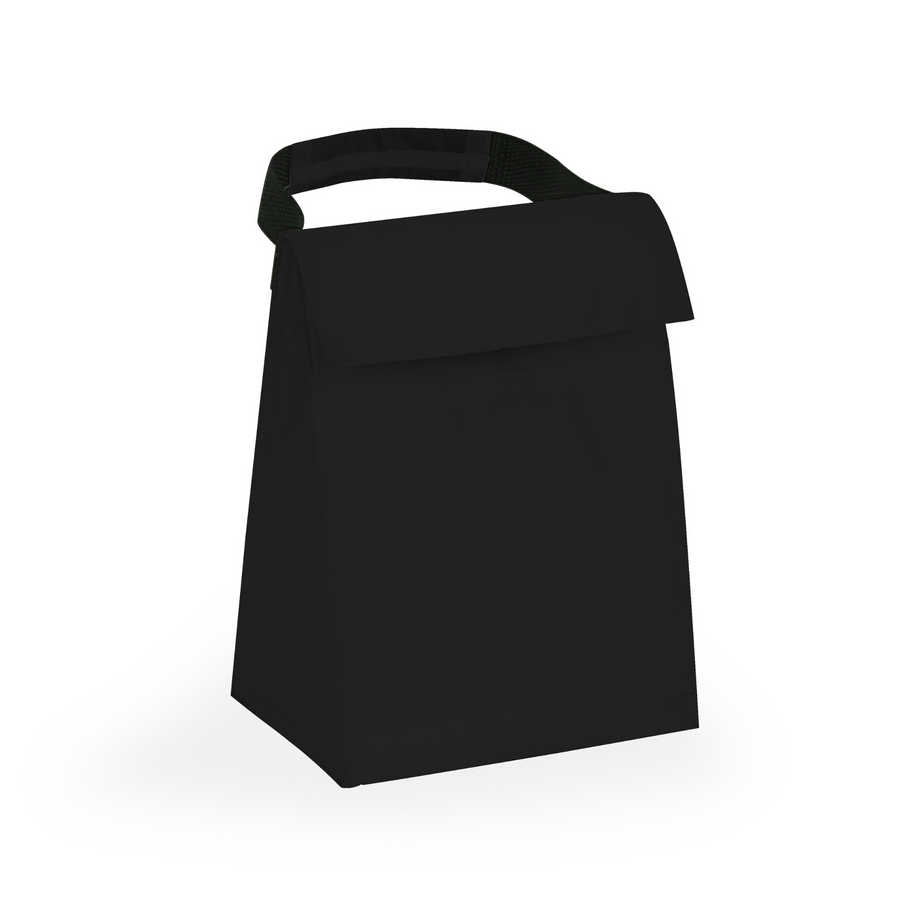 Budget Cooler Bag With Grip