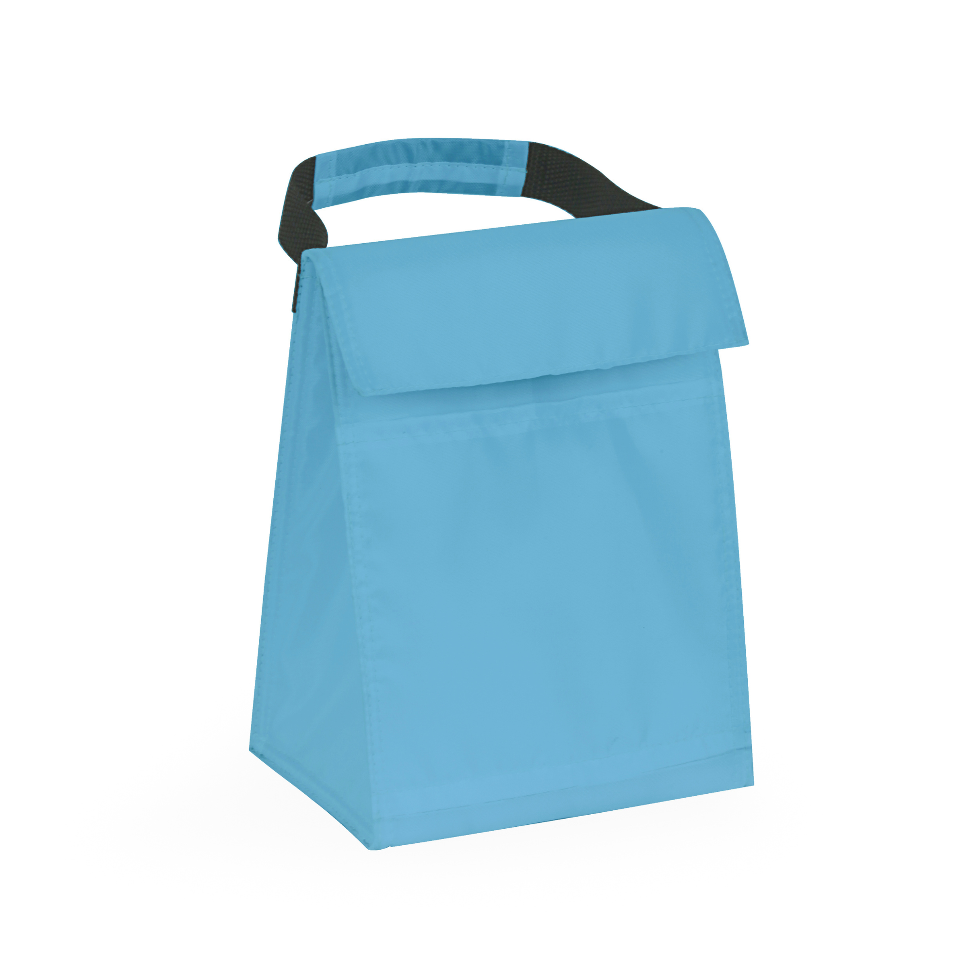 Budget Cooler Bag With Grip