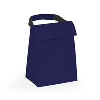 Budget Cooler Bag With Grip