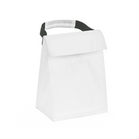 Budget Cooler Bag With Grip