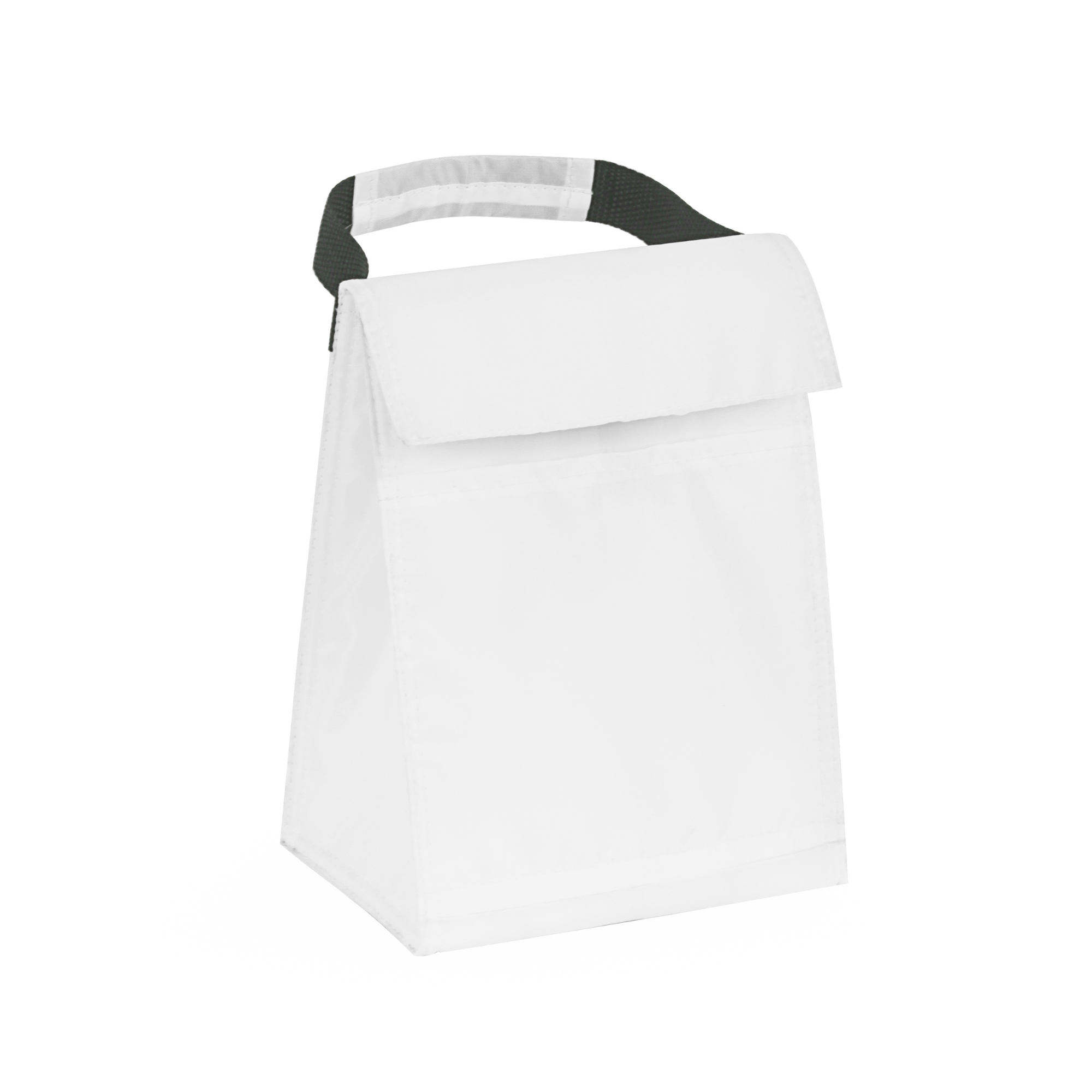 Budget Cooler Bag With Grip
