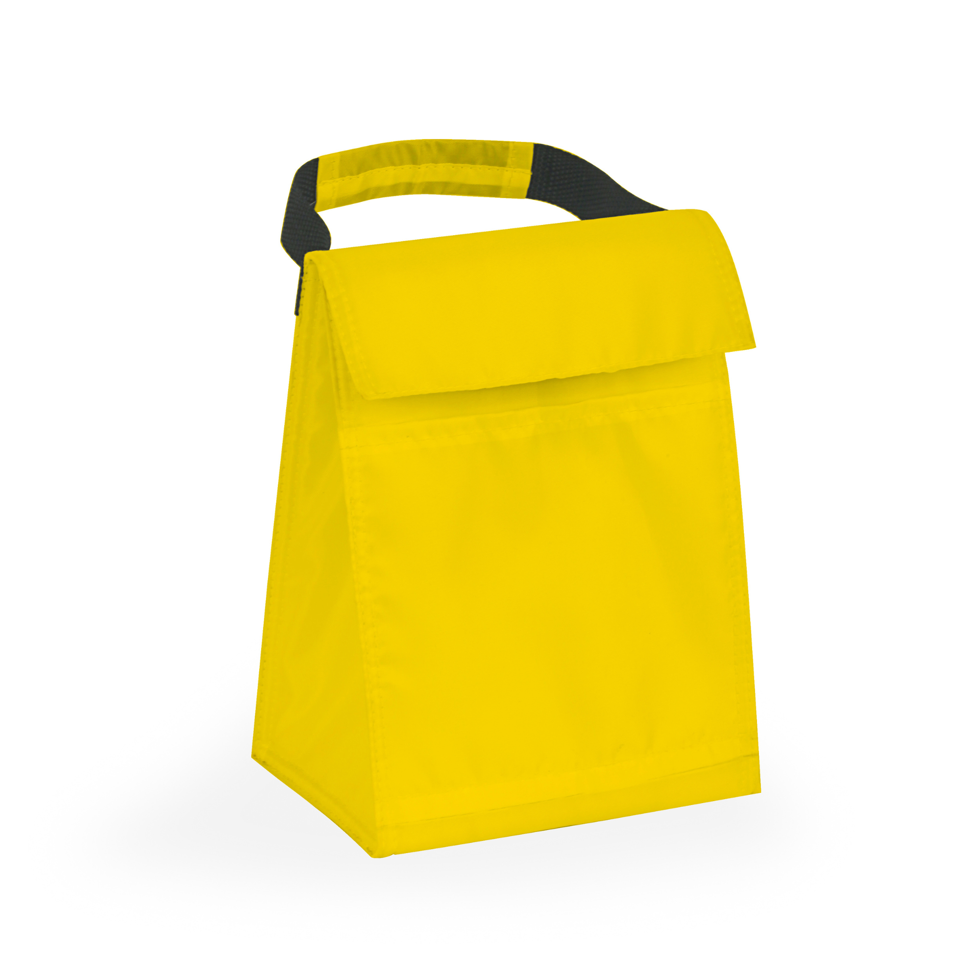 Budget Cooler Bag With Grip