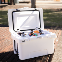 31L Cooler Box