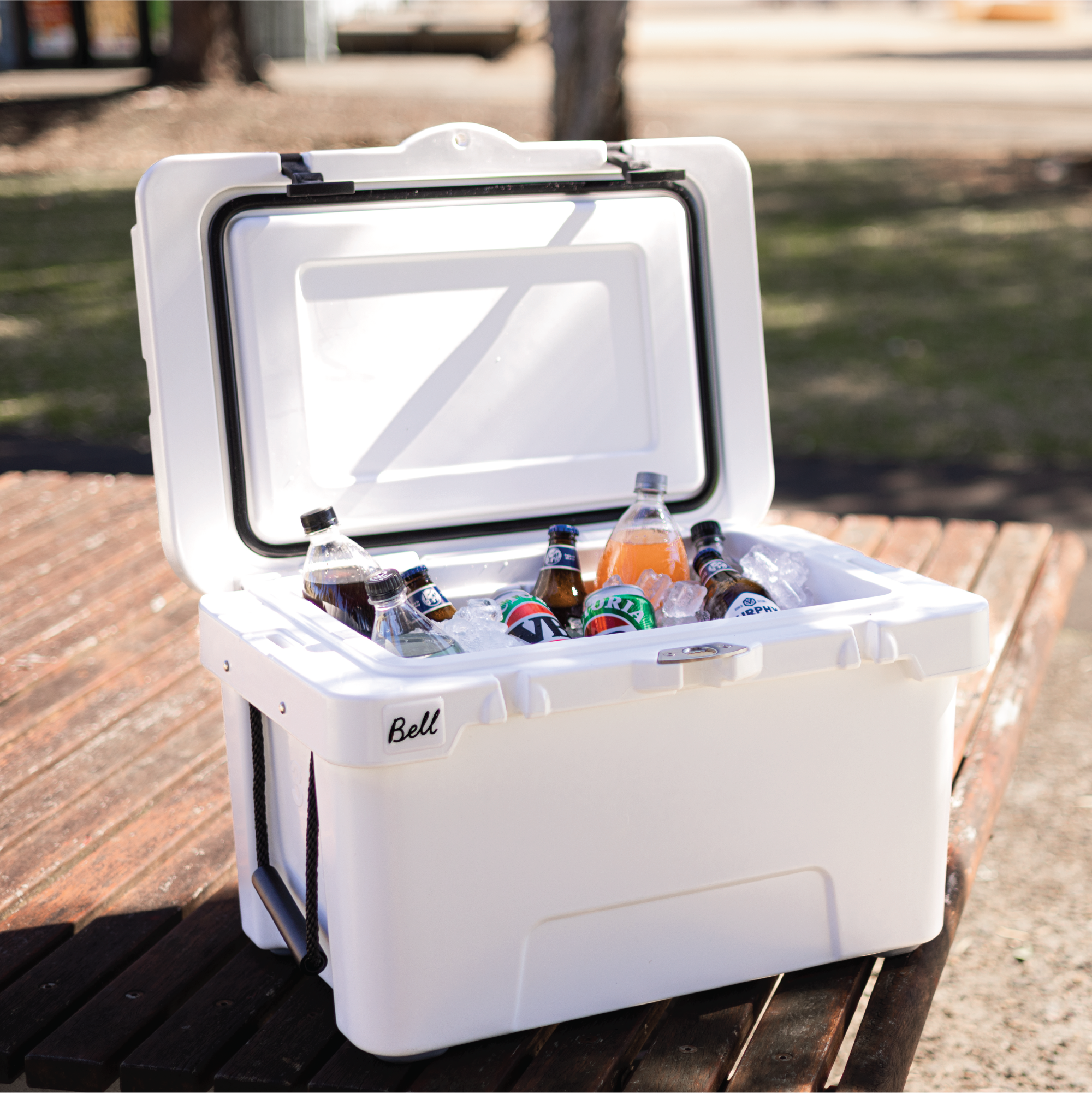 31L Cooler Box