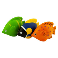Stress Tropical Fish  - SA009