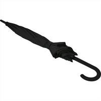 Auto Open Colourised Fashion Umbrella