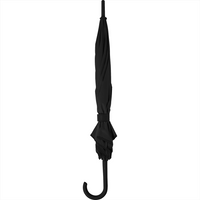 Auto Open Colourised Fashion Umbrella