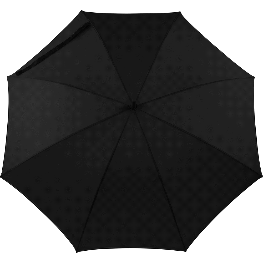 Auto Open Colourised Fashion Umbrella
