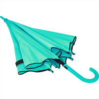 Auto Open Colourised Fashion Umbrella