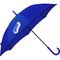 Auto Open Colourised Fashion Umbrella