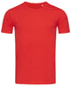 Men's Morgan Crew Neck