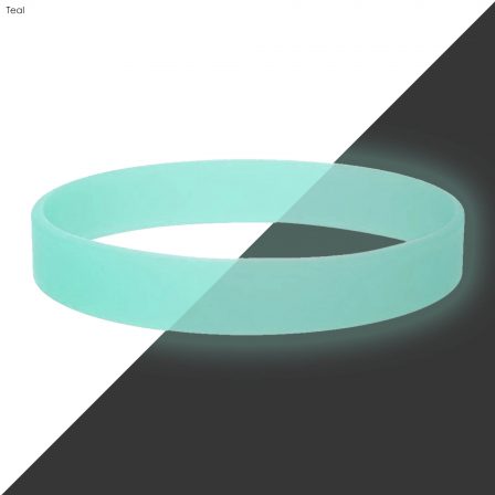 Neon Glow Silicone Wrist Band  - WBD013