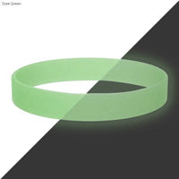 Neon Glow Silicone Wrist Band  - WBD013