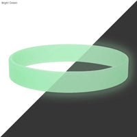 Neon Glow Silicone Wrist Band  - WBD013