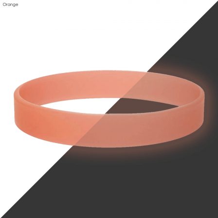 Neon Glow Silicone Wrist Band  - WBD013